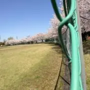 レイの画像