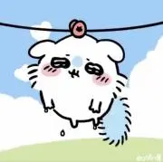 モモンガの画像
