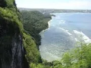 Wonderlandの画像