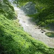 ruru