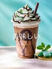 ★おまとめ割歓迎します★チョコミント