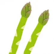 白あすぱらの画像