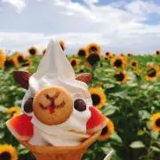 蒼星の画像