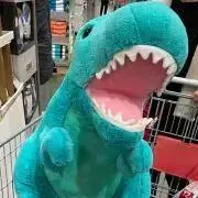 たまの画像