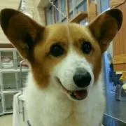 KUMIの画像