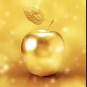 トトロの画像