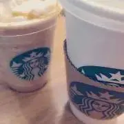 ( *´꒳`* )