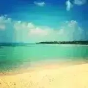 ♡v.cotton♡の画像