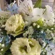 YUU☆の画像