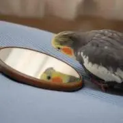 トリニティ