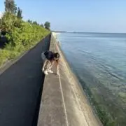にょりきの画像