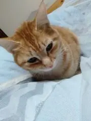 エリちゃんの画像