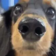 kazuの画像