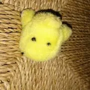 kanの画像