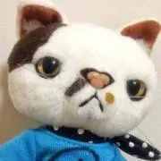 モウモウ