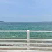 コユキ