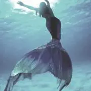 レイ