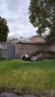 ワカママの画像