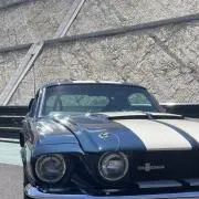 Mustangoの画像
