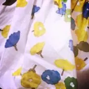 くるみの画像
