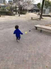☆☆☆の画像