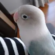 ナカつー