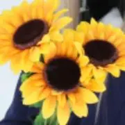 まきの画像