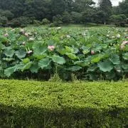 なの画像