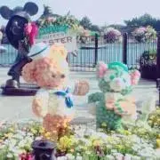 まめの画像