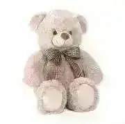 Teddyの画像
