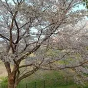 東京メトロの画像