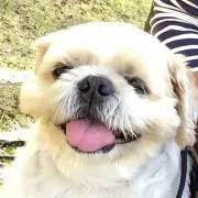 かんた