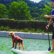 マイケルの画像