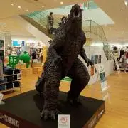 柴崎の画像