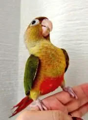 ゆかの画像