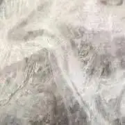 ReSEの画像