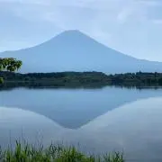 twinkle starsの画像