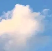まるこの画像