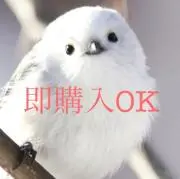 即購入喜びます☺︎の画像