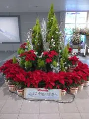 ☆♪激安の殿堂☆♪の画像