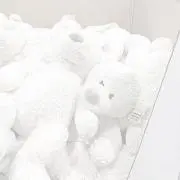 NOAHの画像