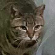 秋休みの画像