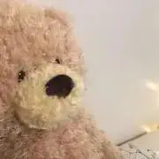 春のくまの画像