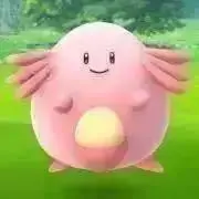 tkの画像