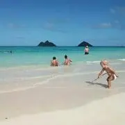 ☆こた☆の画像