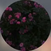 Nono
