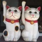 maruの画像