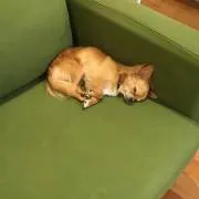 ルパンとレオン