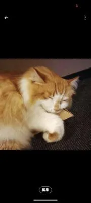 なつきの画像