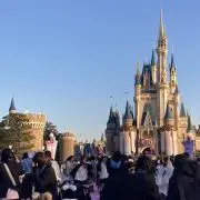 めるの画像